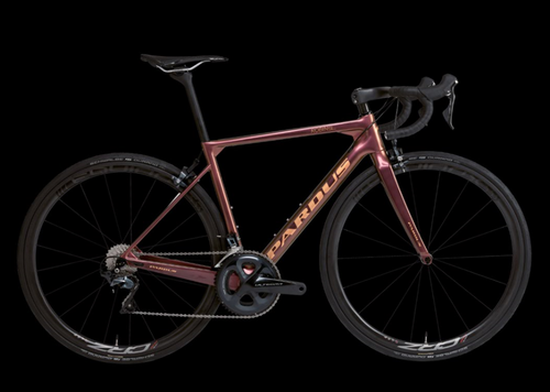 Pardus ROBIN SL-Carbon road bike.
